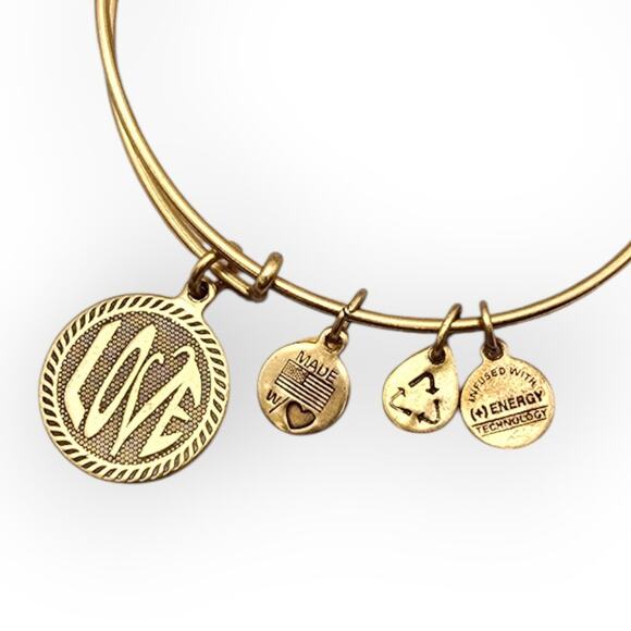 Alex and Ani Gold-Tone “WE” Charm Bangle Bracelet – 2012 - Picture 2 of 6